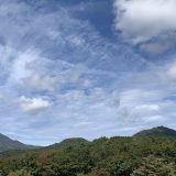わからないから