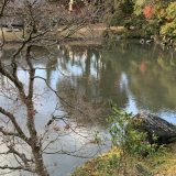 その事実だけで