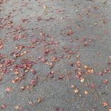 ご提案していくには