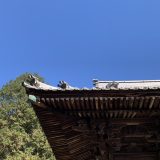 今日のおしごと